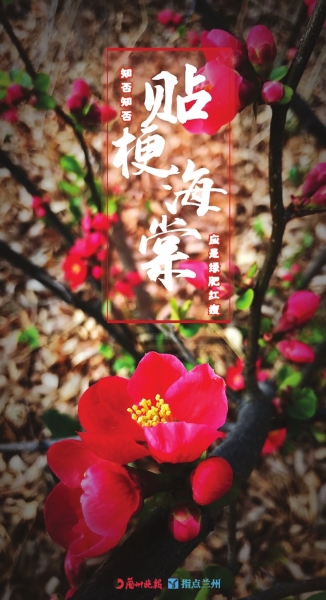 來，跟這些美美的花朵認(rèn)識一下！