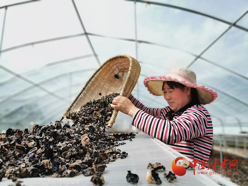 康縣：木耳菌袋結(jié)出脫貧致富的“幸?；ā?>
        </a><em>康縣：木耳菌袋結(jié)出脫貧致富的“幸?；ā?/em></li>
    <li><a  target=