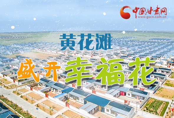 【跟著總書記看甘肅】長圖|武威黃花灘盛開幸?；?