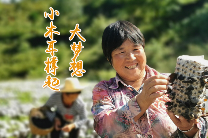 海報丨他們，乘“豐”破浪！