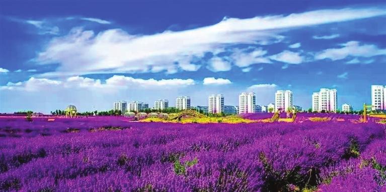 “三連冠”！金昌蟬聯(lián)全國文明城市