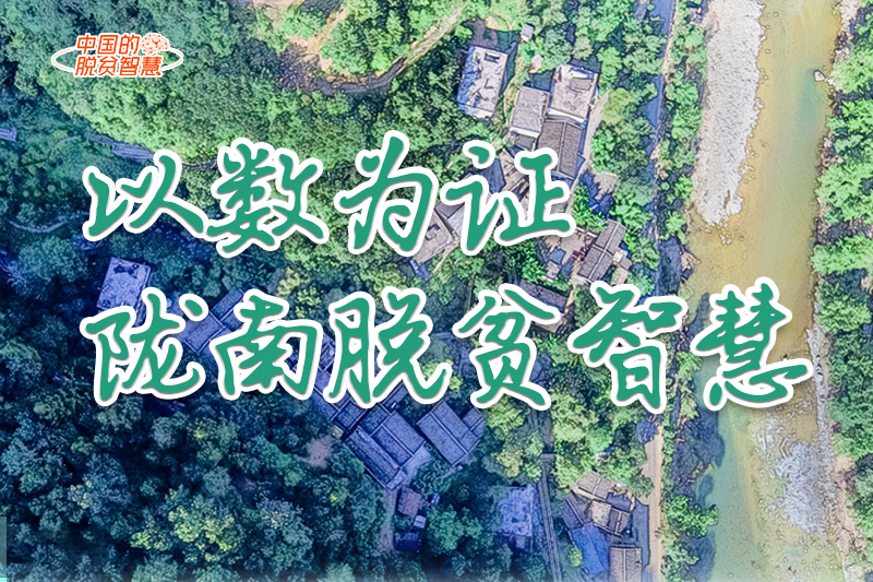 【中國的脫貧智慧】以數(shù)為證！隴南脫貧智慧來了！