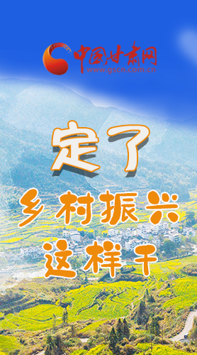 圖解|定了！全面推進(jìn)鄉(xiāng)村振興這樣干！