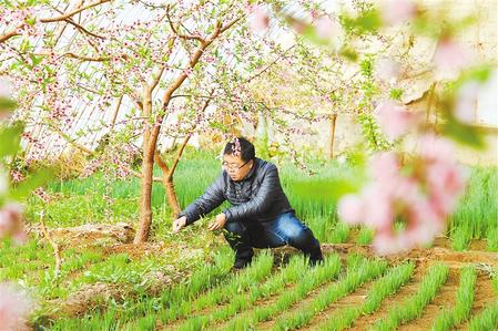 甘肅：時令催人耕種忙，不誤田間一季春
