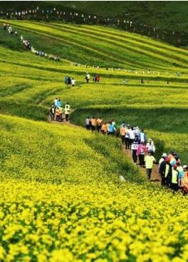 甘肅明確農(nóng)民進城落戶:不以退出承包地、林地等為條件