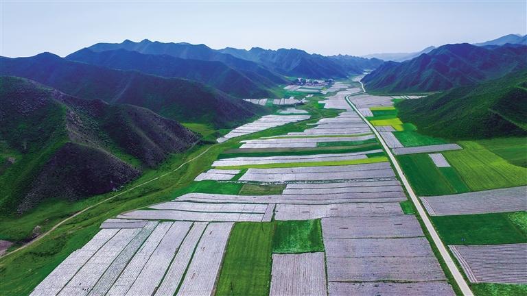 蘭州永登縣打贏三場攻堅戰(zhàn)做好“產業(yè)興旺”大文章