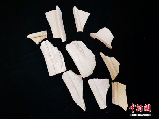 圖為靜寧縣賈河鄉(xiāng)竇坪村出土的彩陶片、紅陶片。 夏劍鋒 攝