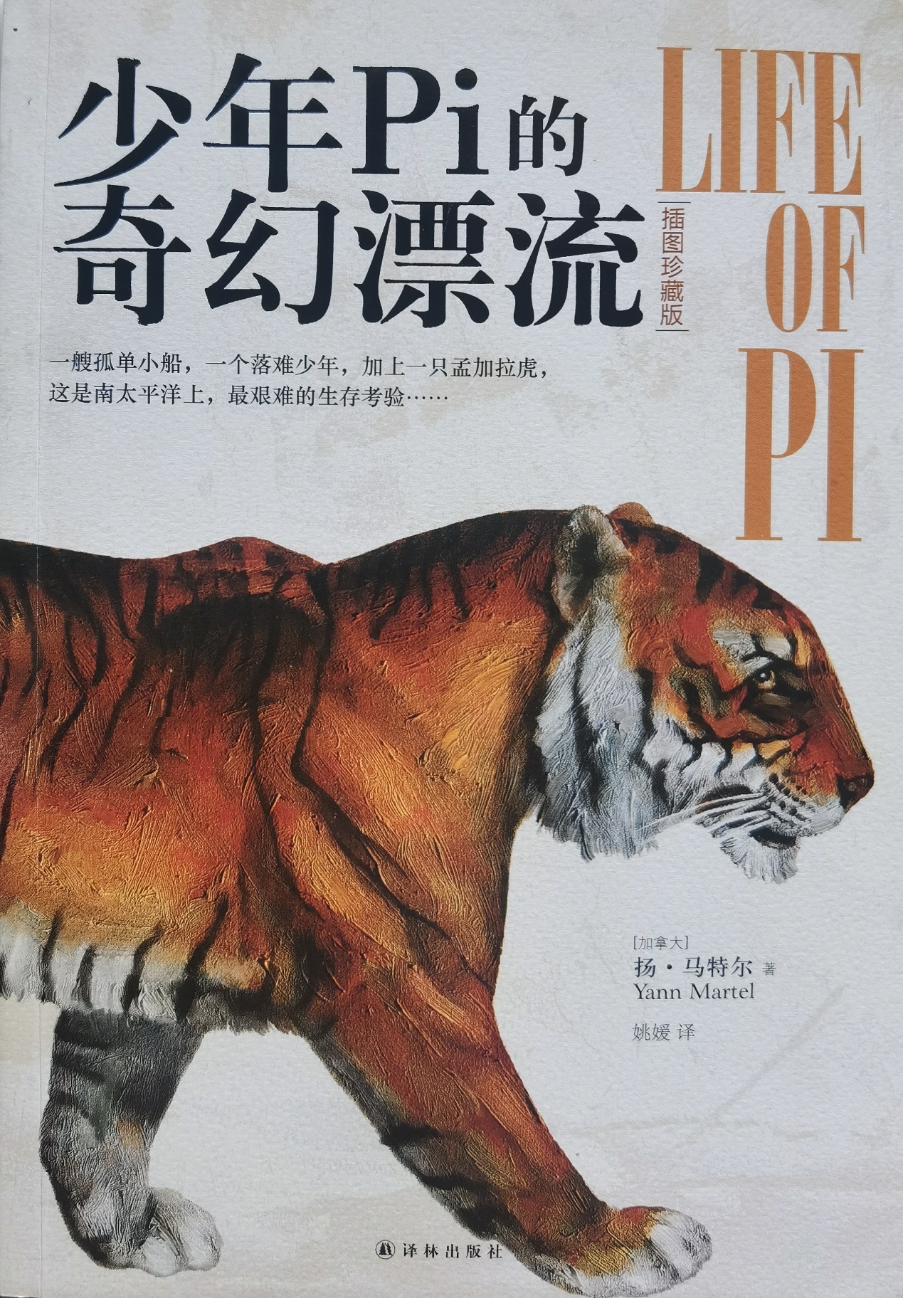 插圖1：揚(yáng)？馬特爾的小說《少年pi的奇幻漂流》封面