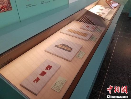 圖為展覽現(xiàn)場。　敦煌研究院供圖