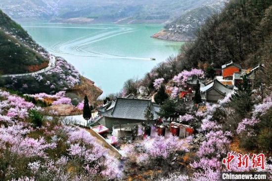 甘肅平?jīng)鍪惺侵袊鴥?yōu)秀旅游城市。圖為平?jīng)鲠轻忌较率锾一ㄊ㈤_。(資料圖) 平?jīng)鍪形麄鞑抗﹫D