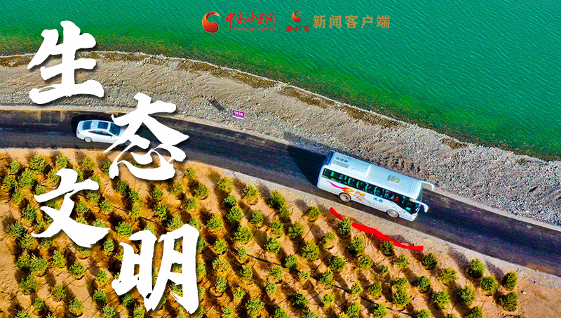 彈幕海報丨熱議甘肅省委十三屆十六次全會 網(wǎng)民聲音在回響！
