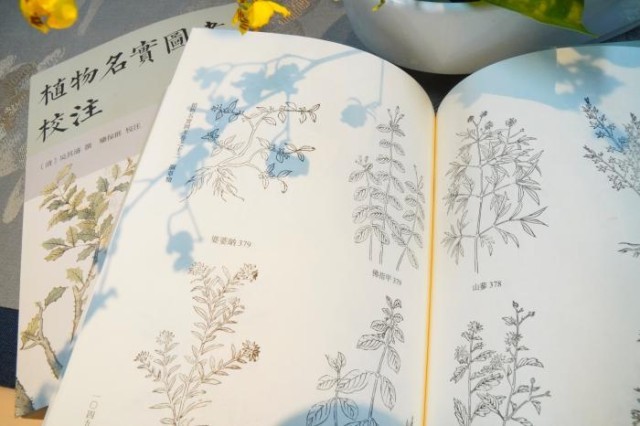 《植物名實(shí)圖考校注》內(nèi)頁。圖片來源：中華書局供圖