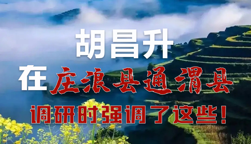 圖解|胡昌升在莊浪縣通渭縣調(diào)研時(shí)強(qiáng)調(diào)了這些！