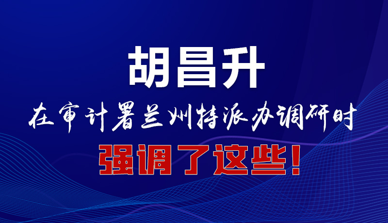 圖解|胡昌升在審計署蘭州特派辦調(diào)研時強調(diào)了這些！