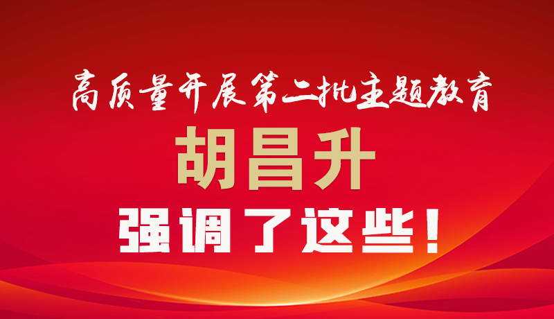 圖解|高質(zhì)量開展第二批主題教育 胡昌升強調(diào)了這些！