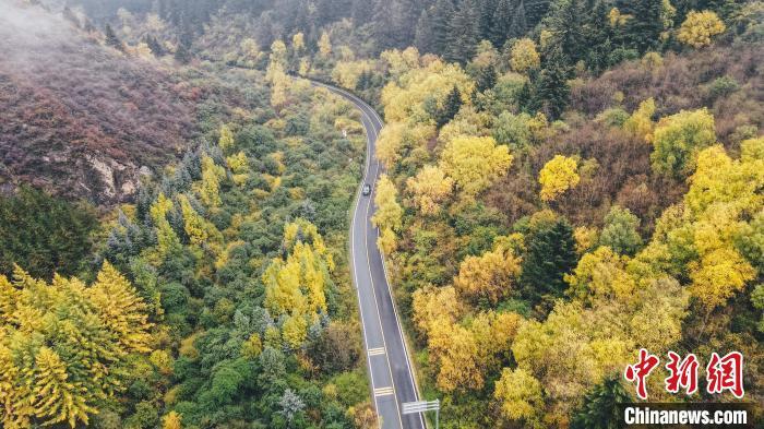 深秋，航拍位于蘭州市榆中縣的興隆山，景色如畫。金峯 攝</p>
<p>