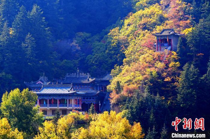 深秋，位于蘭州市榆中縣的興隆山景色如畫。宮衛(wèi)紅 攝