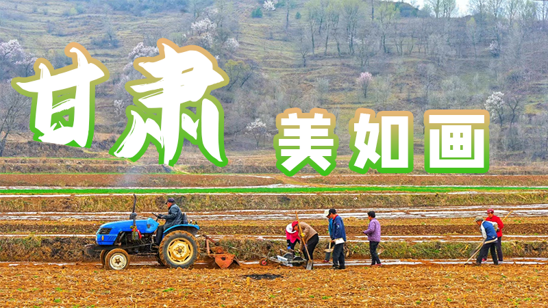 微海報|甘肅，美如畫