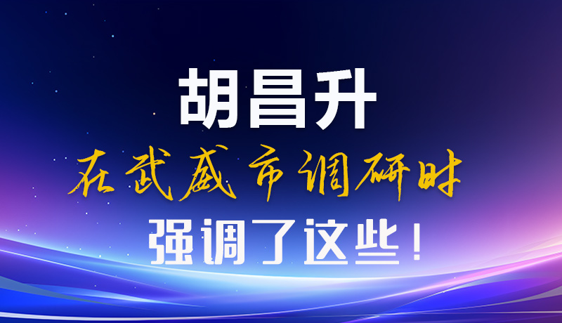 圖解|胡昌升在武威市調(diào)研時強(qiáng)調(diào)了這些！