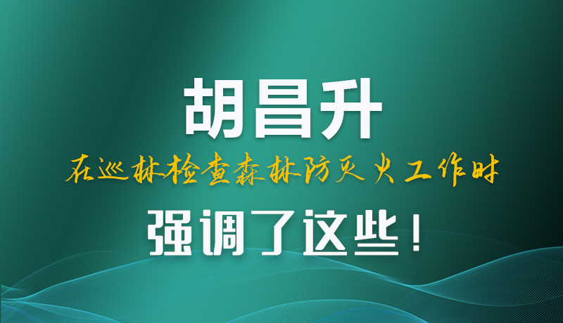 圖解|胡昌升在巡林檢查森林防滅火工作時強(qiáng)調(diào)了這些！