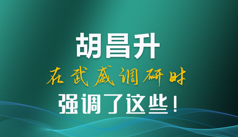 圖解|胡昌升在武威調研時強調了這些！