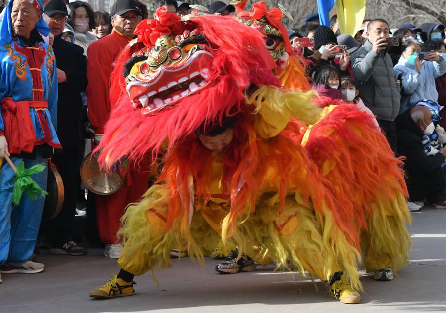 蘭州北獅表演現(xiàn)場(chǎng)。受訪者供圖
