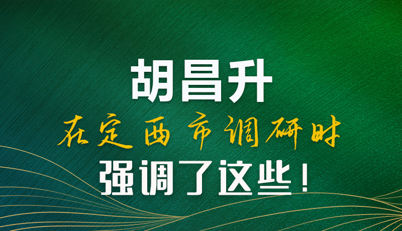 圖解|胡昌升在定西市調研時強調了這些！
