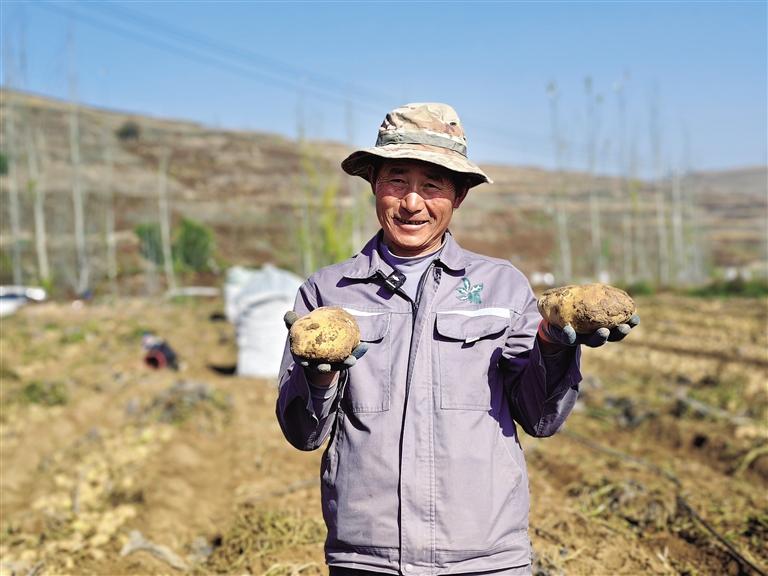 技術創(chuàng)新穩(wěn)產(chǎn)量 北繁南種拓市場