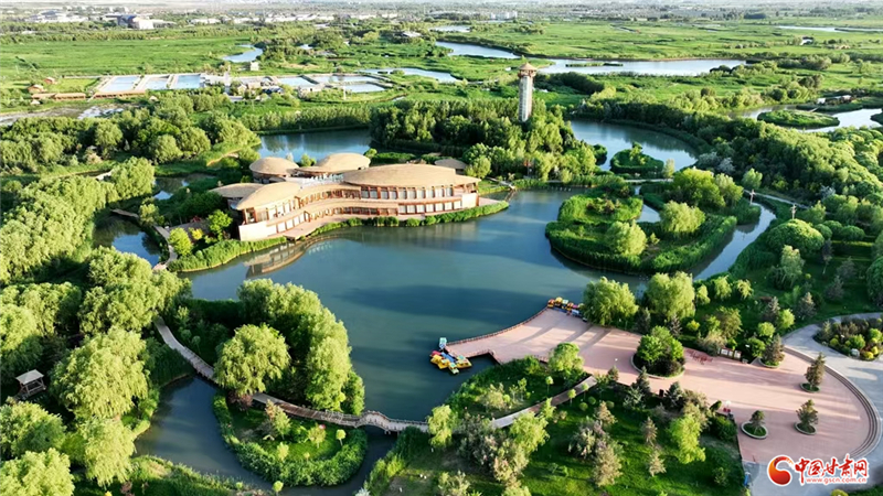 當(dāng)“九色鹿”躍入張掖 西部生態(tài)名城再繪“綠水青山”新卷