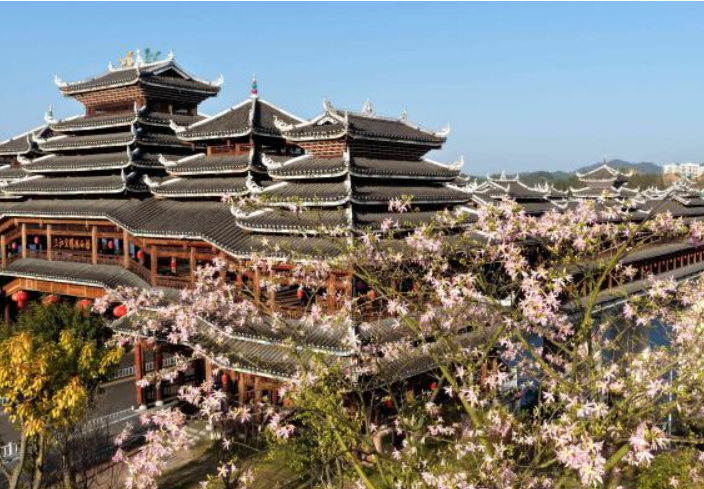 廣西三江侗鄉(xiāng)：花映廊橋美如畫(huà)