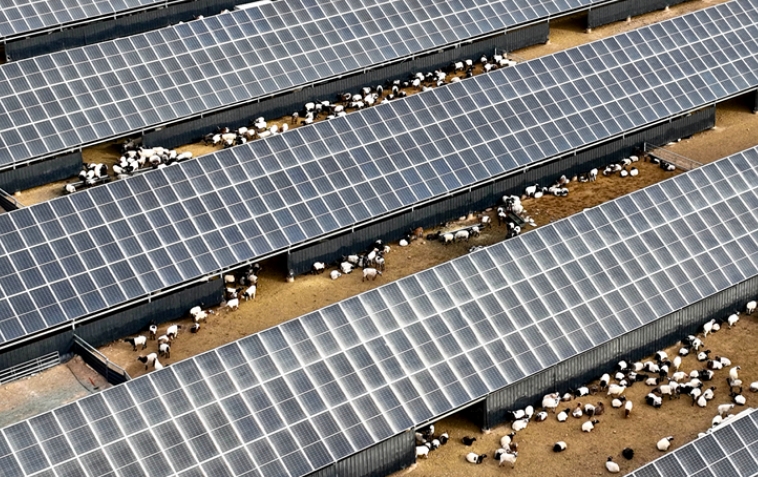 山丹：牧光互補(bǔ)收益豐