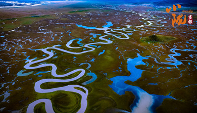 冬日瑪曲宛若一部水墨長卷