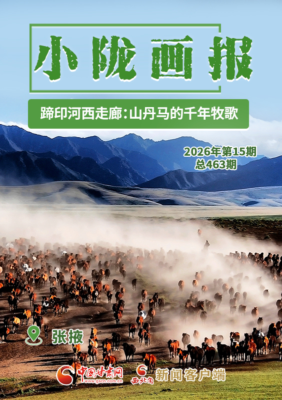 【小隴畫報·463期】蹄印河西走廊:山丹馬的千年牧歌