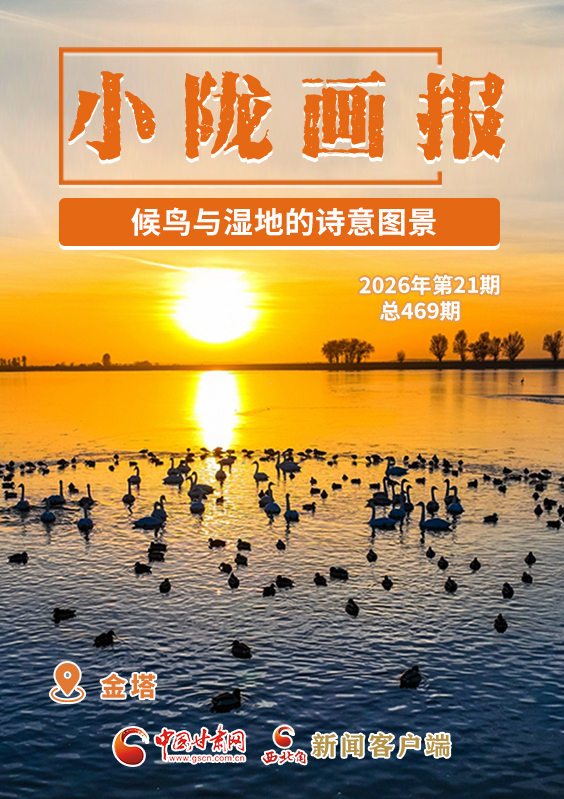 【小隴畫報·469期】金塔:候鳥與濕地的詩意圖景