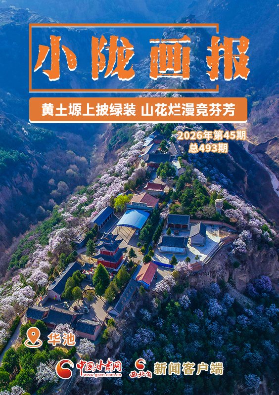 【小隴畫報(bào)·493期】華池：黃土塬上披綠裝 山花爛漫競(jìng)芬芳