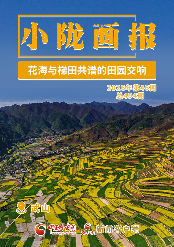 【小隴畫報·494期】武山：花海與梯田共譜的田園交響